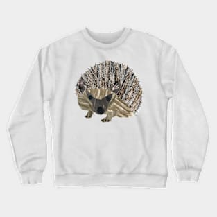 Hedgehog Crewneck Sweatshirt